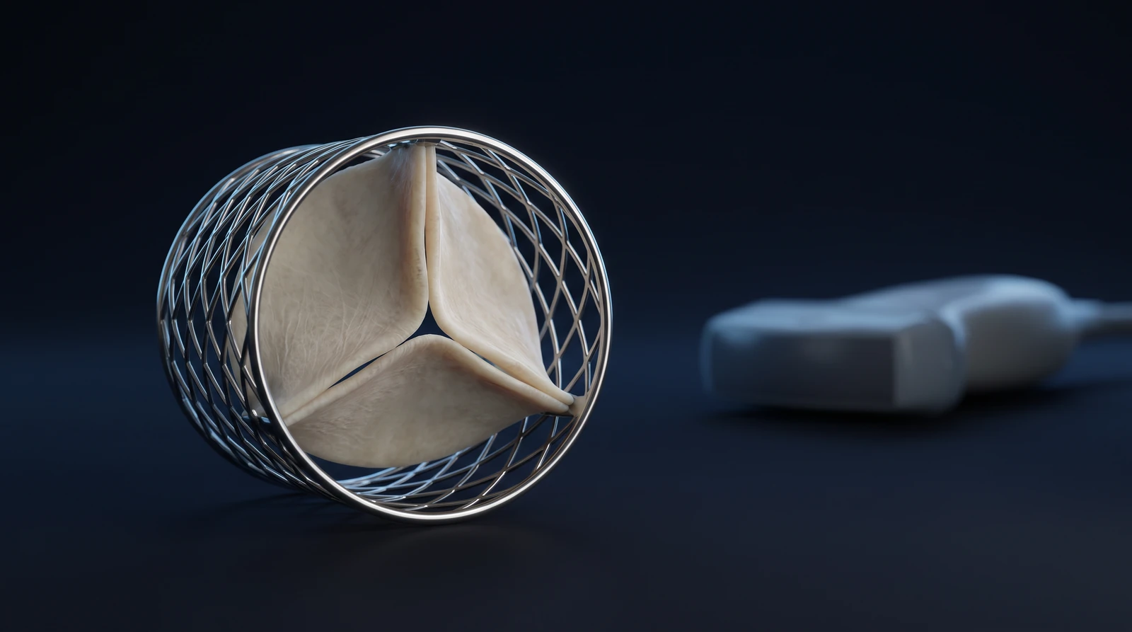 Representative medical illustration of a TAVI bioprosthetic valve and echocardiographic follow-up. AI-generated representative medical illustration; it does not depict a specific patient, device model or individual treatment plan.