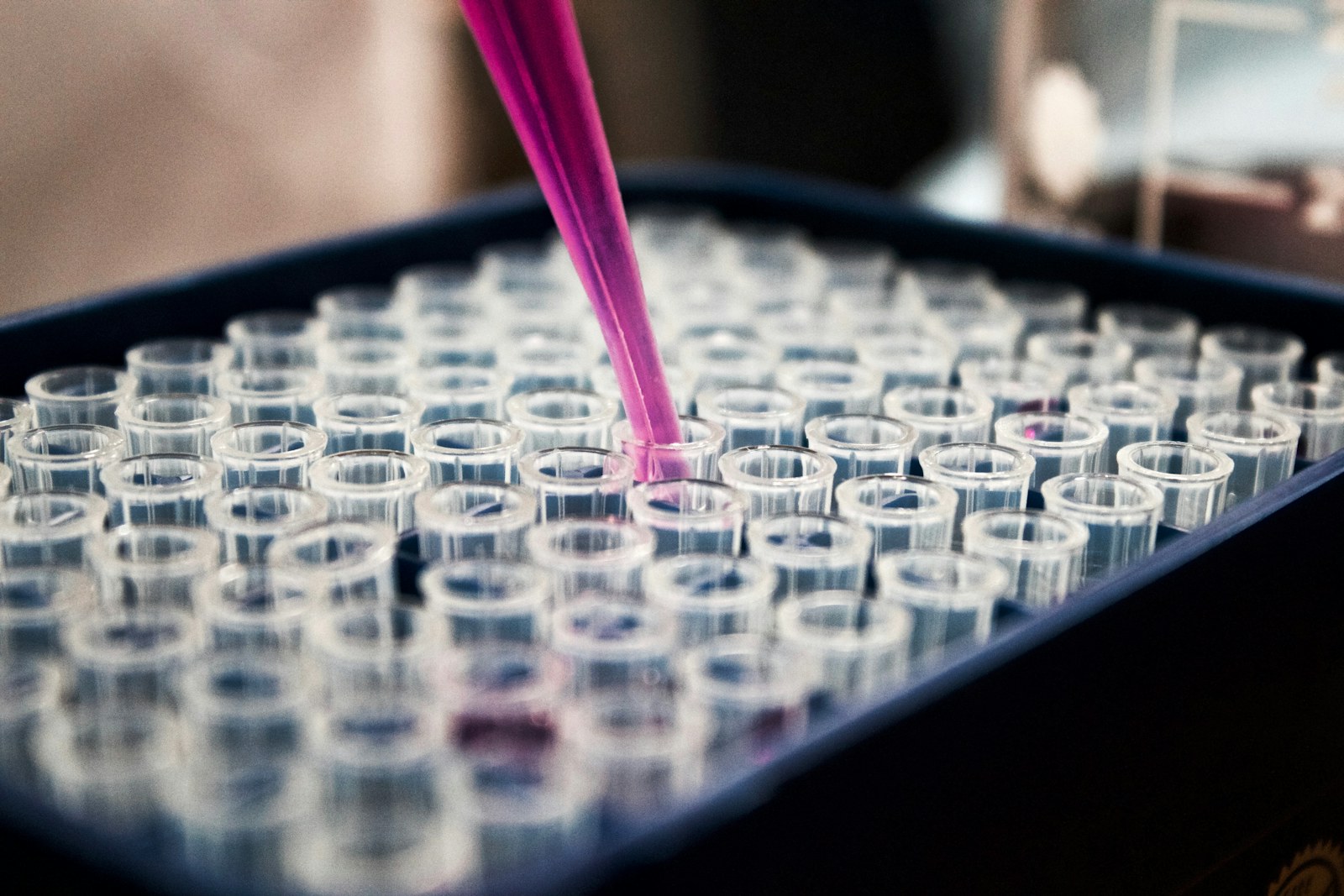 Laboratory pipette preparing a sample